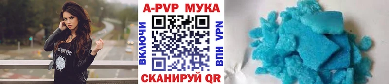 дарнет шоп  Камешково  Альфа ПВП СК 