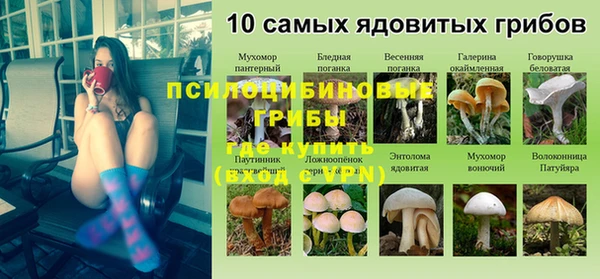 наркотики Богородск